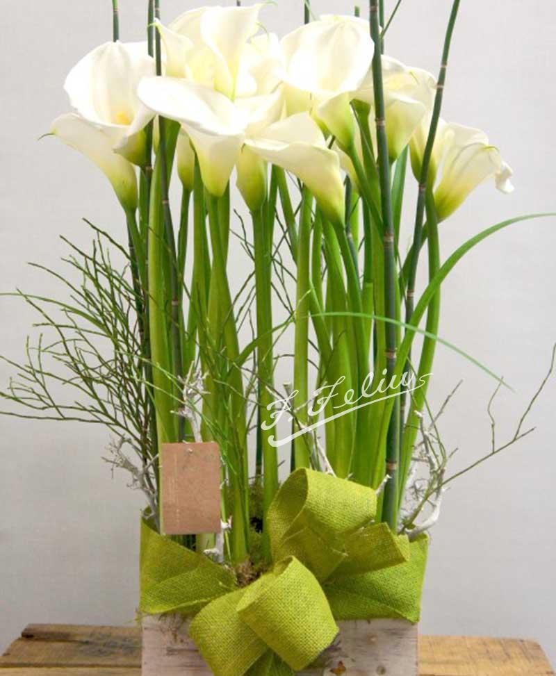 Caja con calas - flores a domicilio valencia - ramos de flores a domicilio  valencia - envío flores valencia