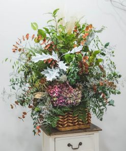 Alternative view of Cesta Vert