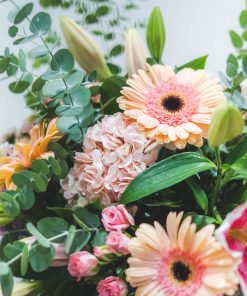 Alternative view of Ramo Mamá