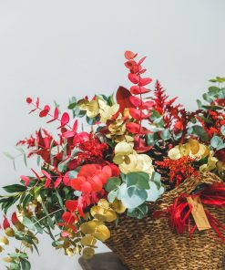 Alternative view of Capazo navideño