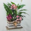 Composición plantas temporada