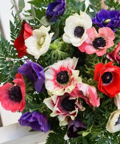 Alternative view of Ramo anémonas