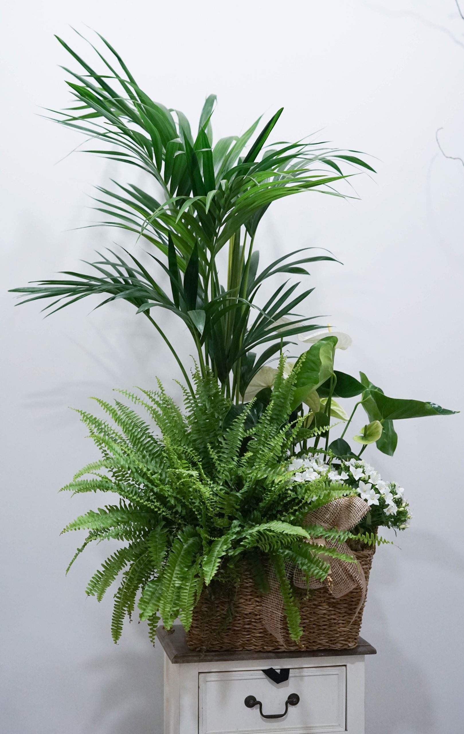gran cesta de mimbre con plantas seleccionadas